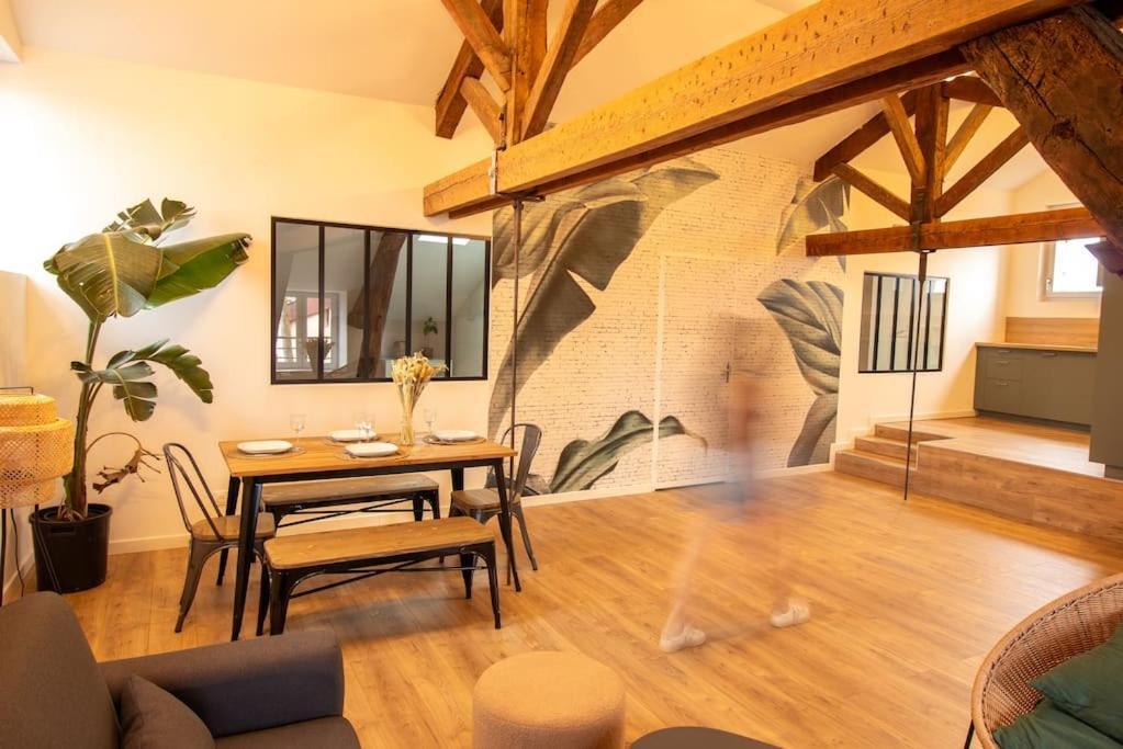 Loft Atelier Hyper Centre Albi Apartment Luaran gambar